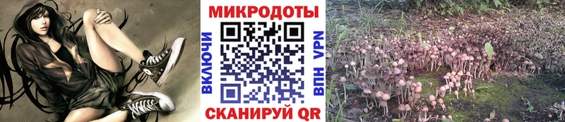 Галлюциногенные грибы Psilocybine cubensis  ссылка на мегу зеркало  Калуга  сколько стоит 